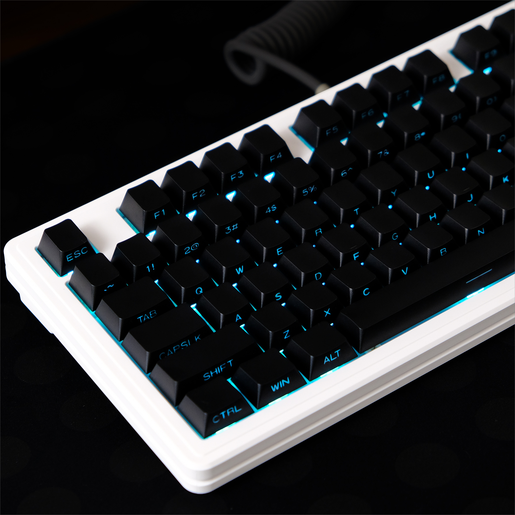 Black Side Print OEM Profile M - Keyboard Gaming Black บทวิจารณ์และราคา